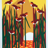 Ann-T.-Cooper-Marsh-Birds-1980-Limited-Edition-Signed-Silkscreen895