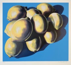 Lowell Nesbitt 10 Lemons 1979 Signed Limited Edition Art Silkscreen 423