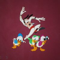 Disney Framed Original Animation Cell Hand Painted Background698