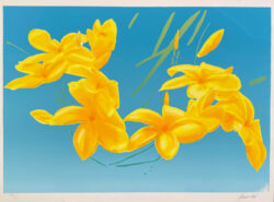 Peter-Baum-1980-Signed-Limited-Edition-Silkscreen-Flowers-562