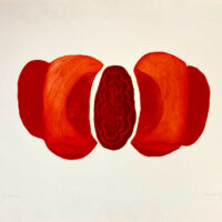 Birgit-Skiold-Sea-Fruit-1970-Signed-Original-Limited-Edition-Art-Etching-162