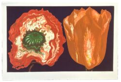 Lowell Nesbitt Poppy and Tulip 1974 Signed Limited Edition Lithograph 1008