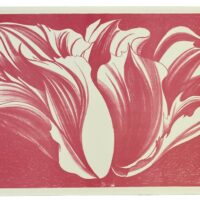 Lowell Nesbitt 1980 Pink Tulip Art Silkscreen2223